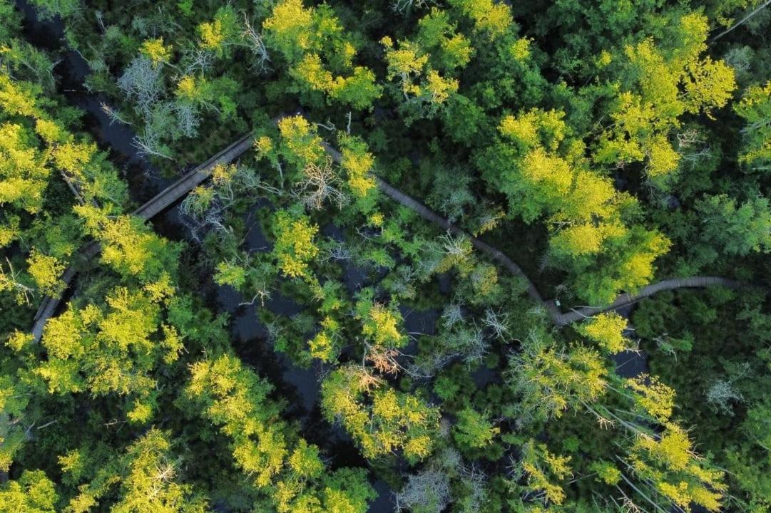 Camping Du Lac De Groléjac 外观 照片